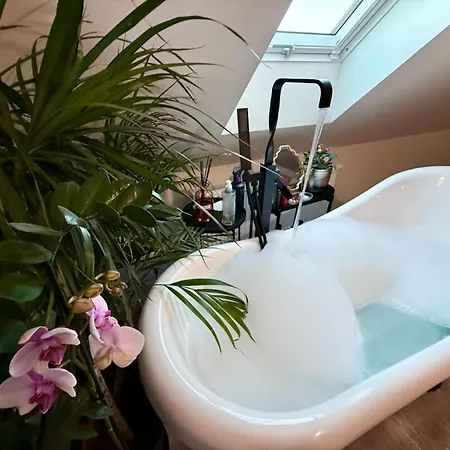 A Whole New House Close To X Bionic 10min Villa *